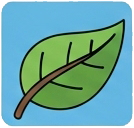 쇼트컷 9